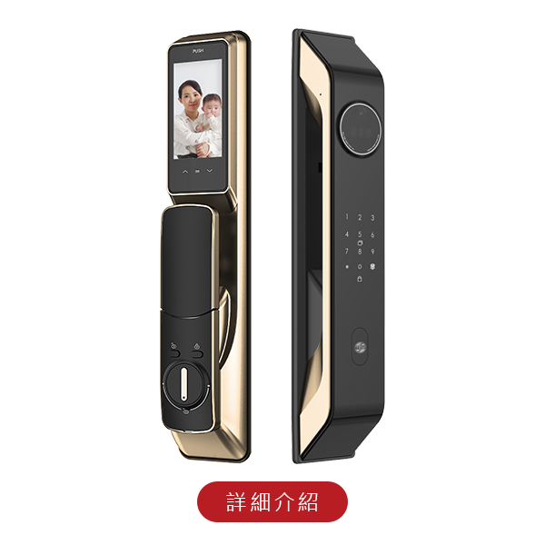 600x600-TEWWLC_F1 台熱牌智能8合1推拉式電子鎖/門鎖(F1)