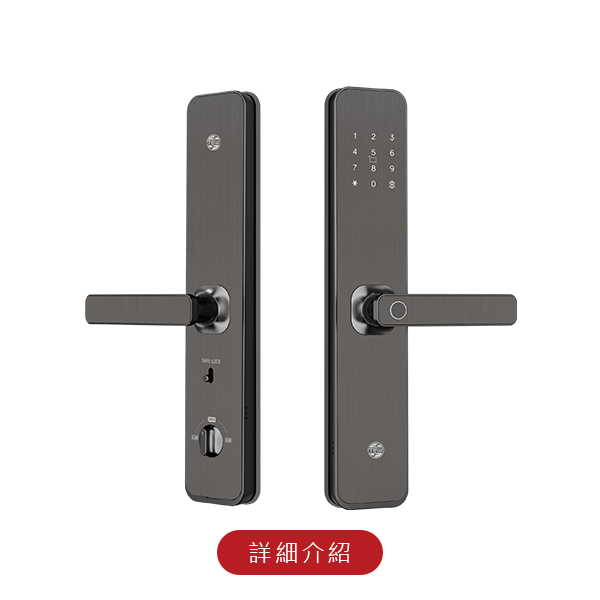 台熱牌智能5合1把手式電子鎖/門鎖(H1)